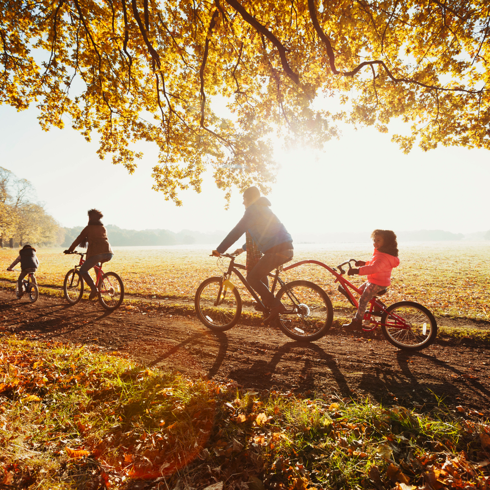 Två vuxna och två barn på cykeltur i landsbygd.